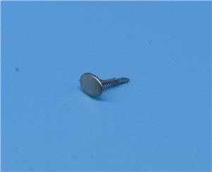 Class 20   2021 Silver Buffer head With Spring - oval 35-351