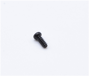 James Screw - 01 - Body Screw 58743